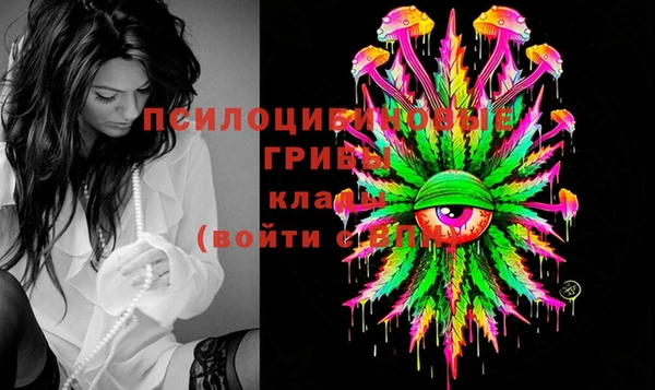 МДПВ Алексин