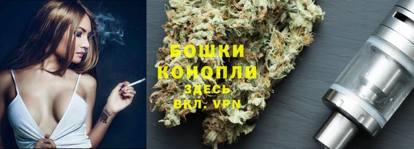 твердый Алзамай