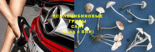 МДПВ Алексин