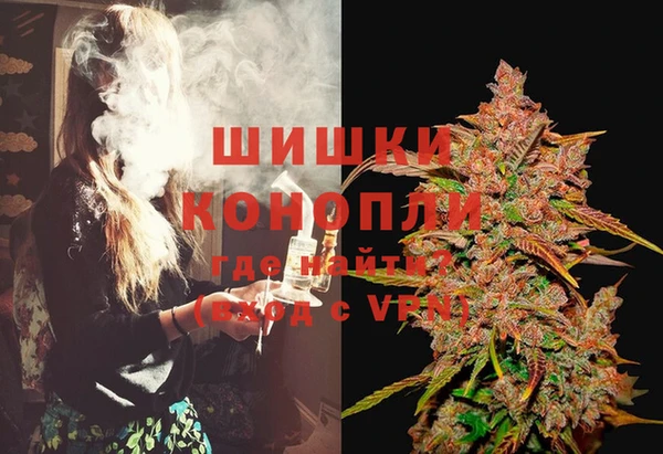 твердый Алзамай